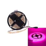 ROLLO DE LED POR 5 METROS 5050 - ROSA 12V